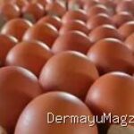Update Harga Sembako Haurgeulis 13 September: Beras Ayam Turun, Gula Naik