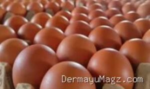 Update Harga Sembako Haurgeulis 13 September: Beras Ayam Turun, Gula Naik