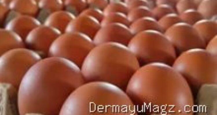Update Harga Sembako Haurgeulis 13 September: Beras Ayam Turun, Gula Naik