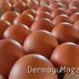 Update Harga Sembako Haurgeulis 13 September: Beras Ayam Turun, Gula Naik