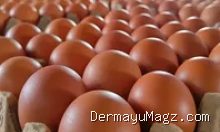 Update Harga Sembako Haurgeulis 13 September: Beras Ayam Turun, Gula Naik