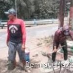 Warga Gabuswetan Mandiri Perbaiki Jalan dan Jembatan Rusak di Indramayu