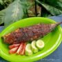 Photo by yummy.co.id - Cara Membakar Ikan Pakai Tempurung Kelapa Tua Biar Asapnya Beraroma Harum