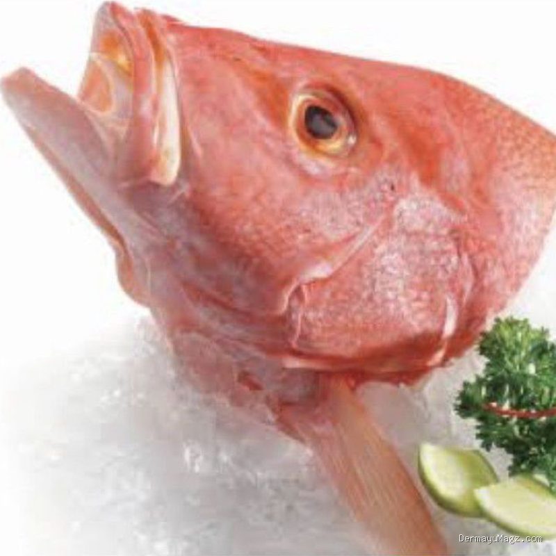 Cara Memotong Kepala Ikan Kakap Merah yang Keras Tanpa Merusak Bentuk