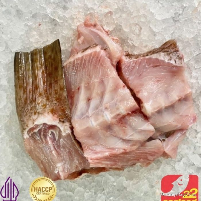 Cara Mengolah Tulang Belulang Ikan Jadi Kaldu Kuah Sup Paling Gurih