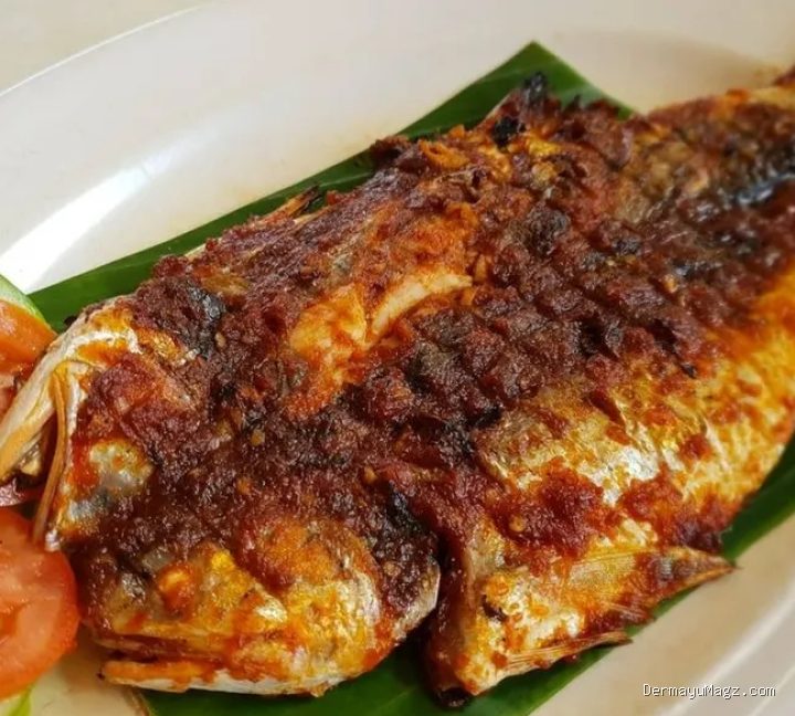 Resep Ikan Kakap Bakar Saus Dabu-Dabu Segar Pedas Menggigit