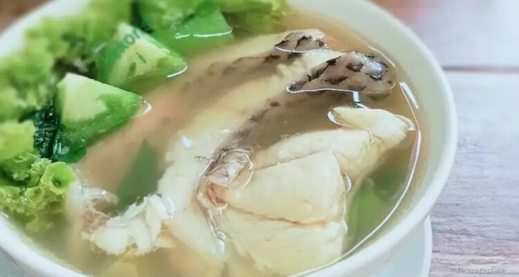 Photo by liputan6.com - Resep Sup Fillet Ikan Kakap Kuah Miso Bening Campur Tahu Sutra