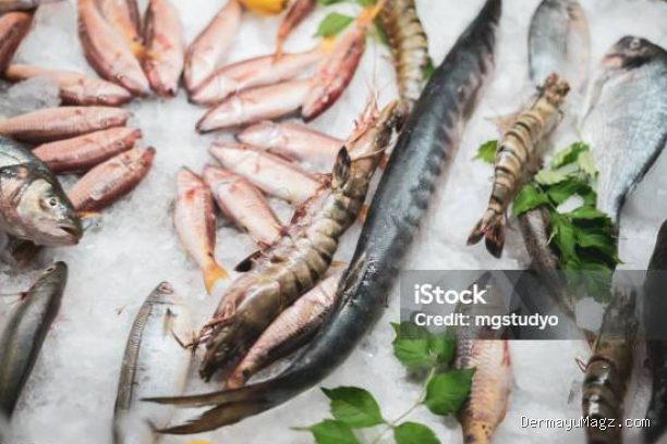 Trik Menjaga Kesegaran Ikan Sebelum Waktu Masak Tiba Tanpa Masuk Freezer