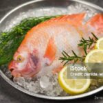 Photo by istockphoto.com - Trik Menjaga Kesegaran Ikan Sebelum Waktu Masak Tiba Tanpa Masuk Freezer