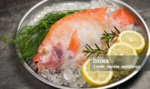 Photo by istockphoto.com - Trik Menjaga Kesegaran Ikan Sebelum Waktu Masak Tiba Tanpa Masuk Freezer