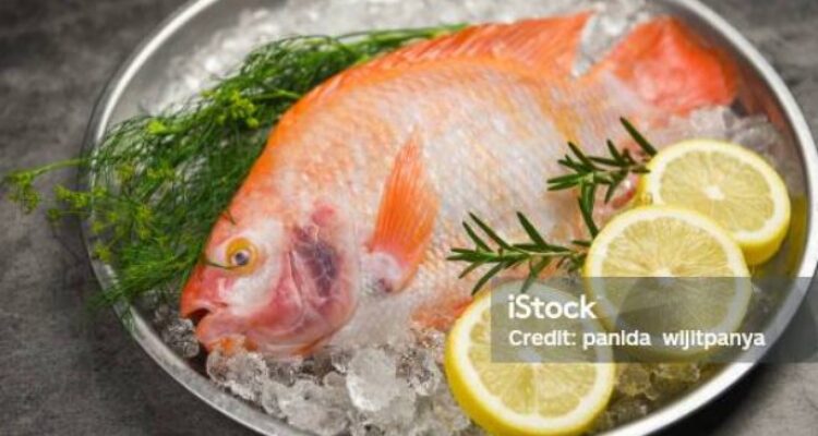 Photo by istockphoto.com - Trik Menjaga Kesegaran Ikan Sebelum Waktu Masak Tiba Tanpa Masuk Freezer
