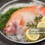 Photo by istockphoto.com - Trik Menjaga Kesegaran Ikan Sebelum Waktu Masak Tiba Tanpa Masuk Freezer