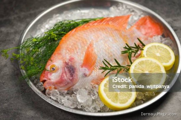 Photo by istockphoto.com - Trik Menjaga Kesegaran Ikan Sebelum Waktu Masak Tiba Tanpa Masuk Freezer